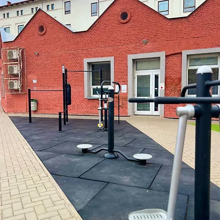 Mystaybrno Oltec Daire *